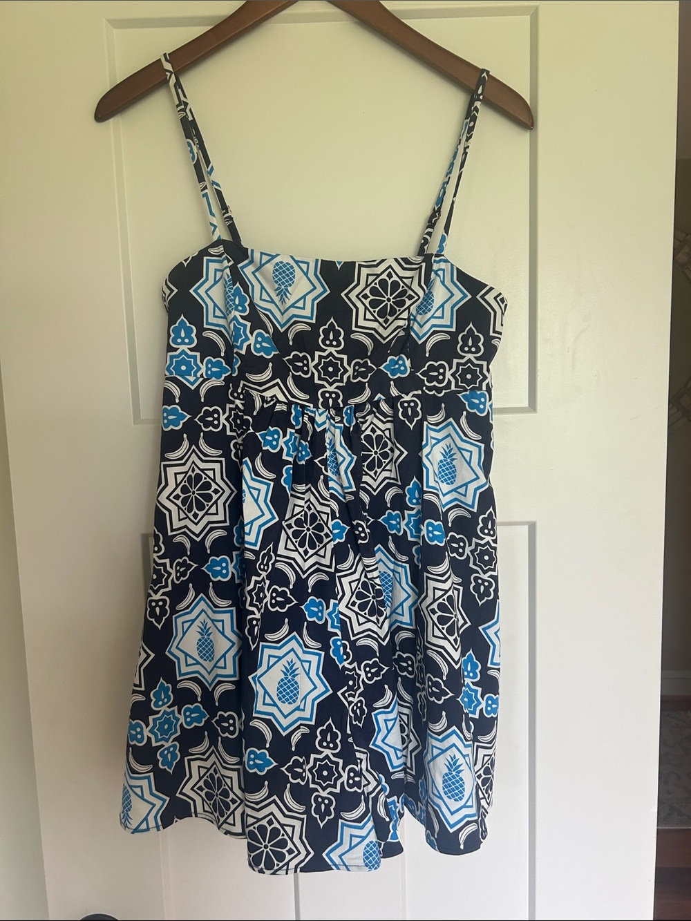 Hutch Blue Black White Printed Mini Dress